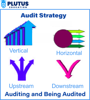 Audit Strategy vs. Audit Plan: