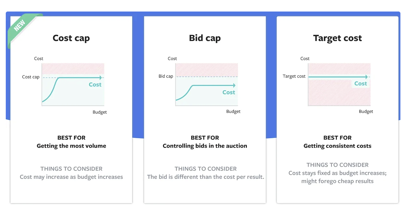 Meta ads bid strategy