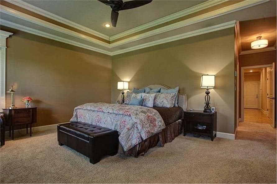 Primary bedroom with a tray ceiling, beige walls, and carpet flooring.