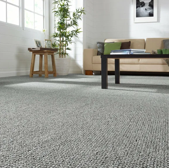 Carpet Flooring Installation