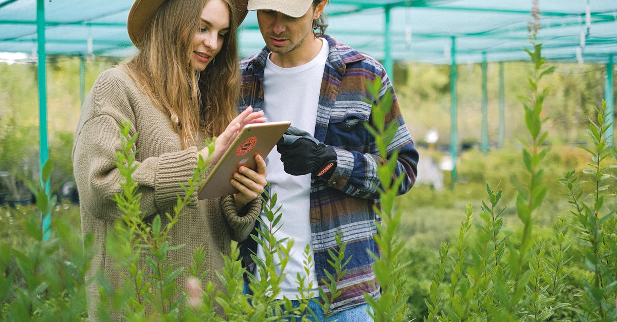 A couple explores plant information on a tablet in a greenhouse setting.