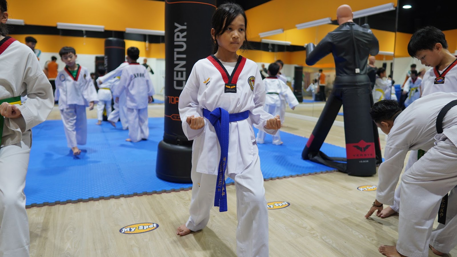 Types of Taekwondo Stances - Walking Stance (ap seogi or front stance) from the side