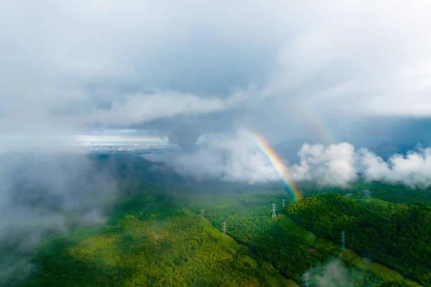20 Natural Photos That Make You Want to Travel, travel inspiration, nature shots, nature, forest, landscape, wanderlust images, scenic desire