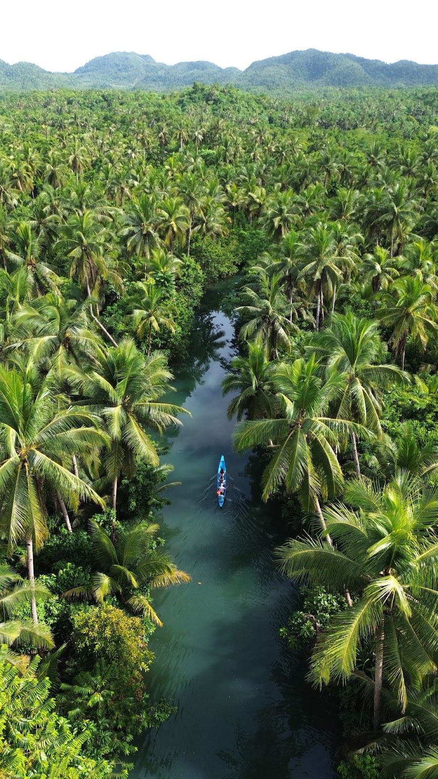 A boat going through Maasin River Siargao