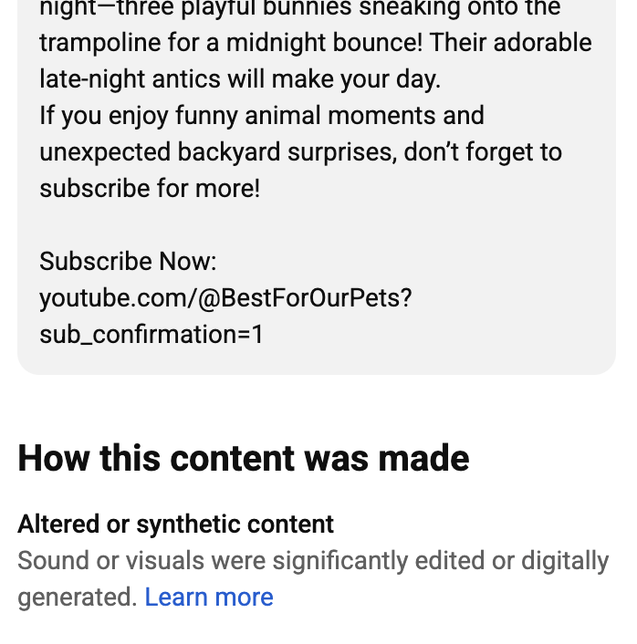 AI Bunnies on Trampoline Causing Crisis of Confidence on TikTok
