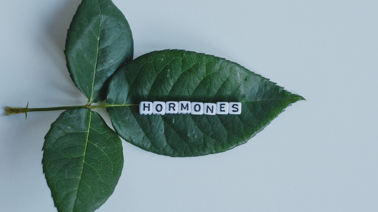 Female hormonal balance is the core of how you feel in your day to day