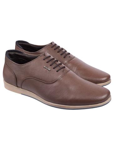 https://cdn.shopify.com/s/files/1/0779/3380/5887/files/101_3_31_480x480.jpg?v=1696570199
