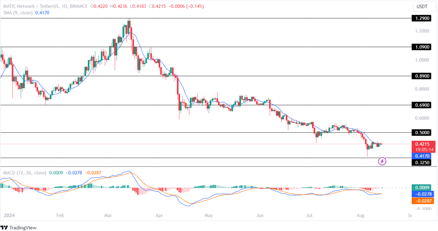 Polygon Price Prediction 2024