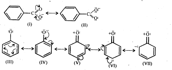 NCERT Solutions For Class 12 Chemistry Chapter 12 Aldehydes Ketones and Carboxylic Acids Exercises Q20