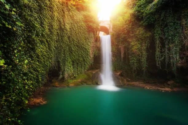 Serene Nature Scenes You Can’t Look Away From, serene scenes, relaxing photos, nature, landscape, calming visuals, tranquil vibes