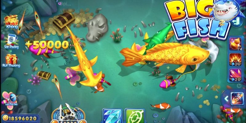 Thế Giới Bắn Cá New88 – Trải Nghiệm Độc Đáo Từ Game Đến Thực Tế