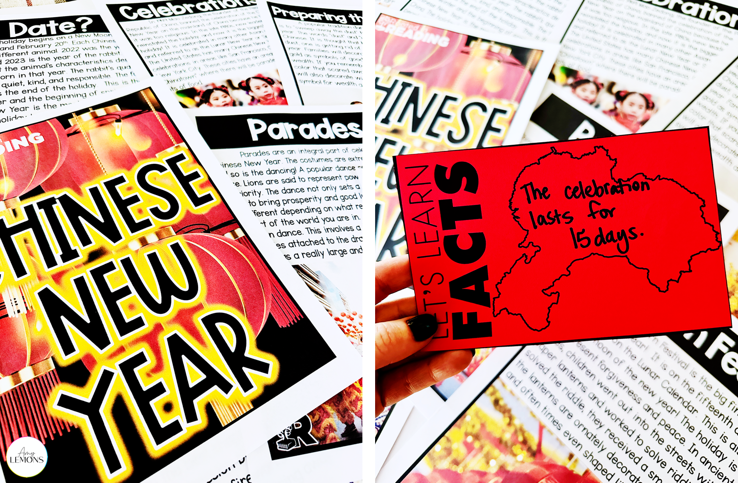 Informational text about the chinese new year with fact sheets to teach Chinese New Year to kids.