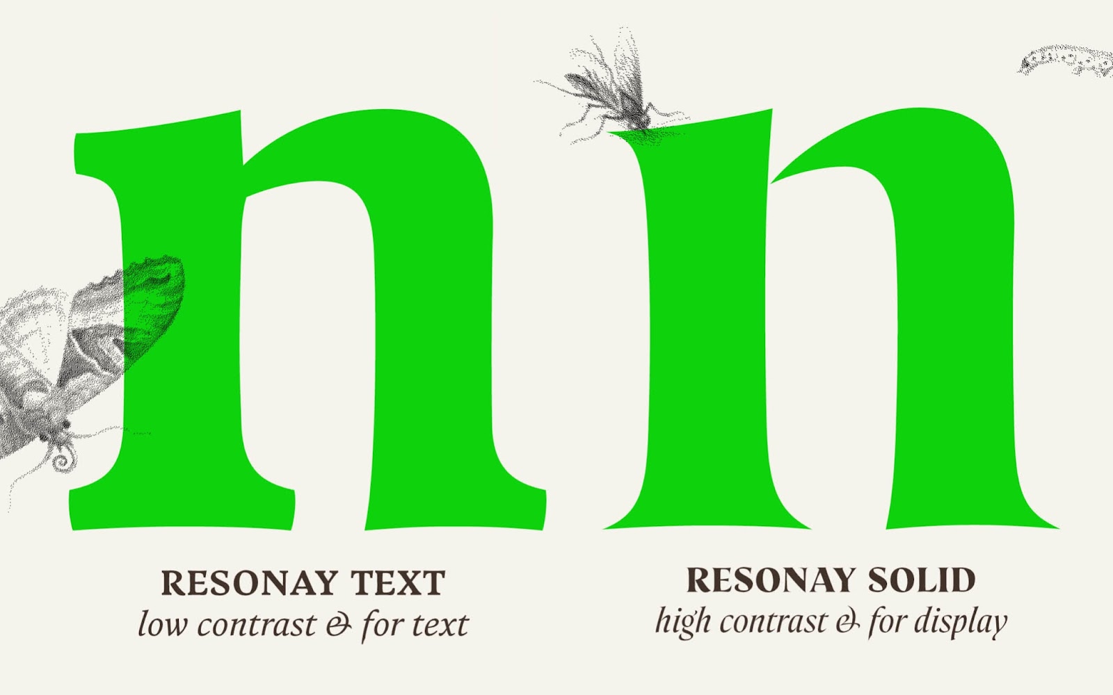 Image from the Resonay Text: Elevating Typography with Elegance article on Abduzeedo