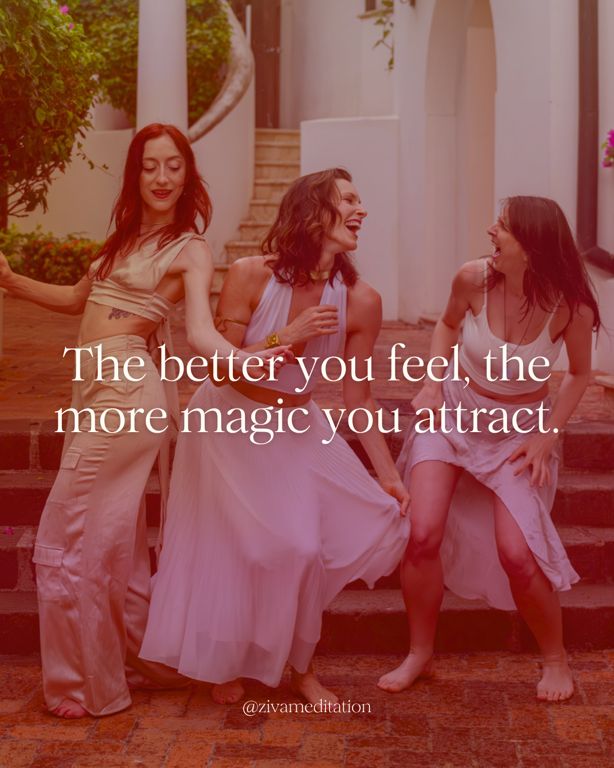 Ziva manifestation course review
