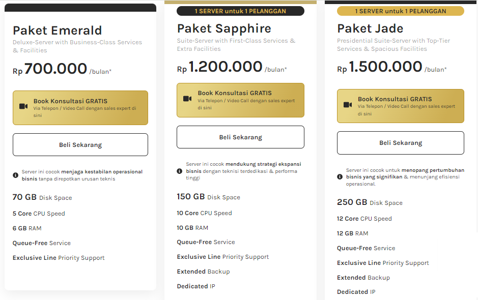 hosting untuk bisnis