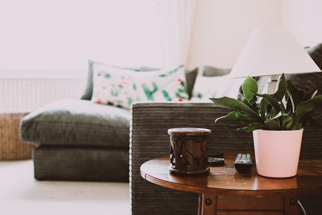 A plant sitting on a side table