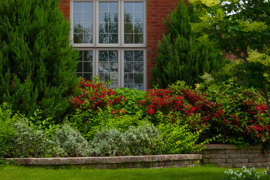 Plant in layers with small plants in the front of your flower bed