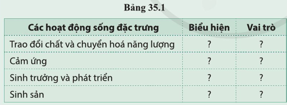 BÀI 35. SỰ THỐNG NHẤT VỀ CẤU TRÚC VÀ CÁC HOẠT ĐỘNG SỐNG TRONG CƠ THỂ SINH VẬT MỞ ĐẦUCâu hỏi: Quan sát hình 35.1, cho biết hoạt động của những người đang chạy cần có sự phối hợp hoạt động của những cơ quan nào. quá trình nào trong cơ thể?Đáp án chuẩn:Hệ vận động, hệ tuần hoàn, hệ hô hấp, hệ thần kinh, hệ bài tiết.I. SỰ THỐNG NHẤT CÁC HOẠT ĐỘNG SỐNG TRONG CƠ THỂCâu 1: Vì sao nói tế bào là đơn vị cấu trúc và chức năng của cơ thểĐáp án chuẩn:Vì mọi cơ thể sống đều cấu tạo từ tế bào, nó là đơn vị cấu tạo bé nhất của cơ thể sống.Câu 2: Lấy ví dụ chứng minh về sự thống nhất giữa các hoạt động sống trong cơ thể.Đáp án chuẩn:Ở thực vật quá trình quang hợp chiụ ảnh hưởng từ quá trình hút nước, vận chuyển nước từ rễ lên thân cây và lá. Lá quang hợp cung cấp chất hữu cơ nuôi sống cơ thể.Câu 3: Quan sát hình 35.2,nêu mối quan hệ trong các hoạt động sống của cơ thể sinh vậtĐáp án chuẩn:Trao đổi chất và chuyển hoá năng lượng có tác động qua lại với sinh sản, cảm ứng, sinh trưởng và phát triển.Câu 4: Vì sao trao đổi chất và chuyển hoá năng lượng ảnh hưởng quyết định đến hoạt động sống khác?Đáp án chuẩn:Vì tạo ra các chất cần thiết nuôi sống cơ thể, đào thải các chất không cần thiết ra bên ngoài giúp cơ thể có đủ năng lượng cho sinh sản, sinh trưởng và phát triểnCâu hỏi 1: Quan sát hình 35.5, cho biết các hình a, b, c, d thể hiện hoạt động sống nào ở cây mướp đắng (khổ qua). Nêu mối quan hệ giữa các hoạt động sống đó.Đáp án chuẩn:Hình a: hoạt động sinh trưởngHình b: hoạt động quang hợpHình c: cây phát triển nhờ tính hướng tiếp xúc.Hình d: cây ra hoa, kết quảMối quan hệ: Rễ cây hút nước, nhờ ánh sáng mặt trời để quang hợp → Cây trao đổi chất với môi trường để sinh trưởng và phát triển → Phản ứng lại các kích thích từ môi trường → Ra hoa, tạo quả.Câu hỏi 2: Quan sát hình 35.4, lấy ví dụ cho mỗi hoạt động sống ở chó. Nêu mối quan hệ giữa các hoạt động sống đó.Đáp án chuẩn:Sinh trưởng và phát triển: Chó con lớn lên, tăng kích thước và cân nặng.Trao đổi chất, chuyển hóa năng lượng: Chó ăn thức ăn, chuyển hóa thành năng lượng để duy trì sự sống.Hoạt động cảm ứng: nhiệt độ cao, chó lè lưỡi để cân bằng nhiệt độ cơ thể.Sinh sản: Mang thaiMối quan hệ: Các hoạt động sống tác động qua lại, hoạt động trao đổi chất gắn liền với chuyển hóa năng lượng.Vận dụng 1Câu hỏi: Lấy ví dụ chứng minh mối quan hệ tác động qua lại giữa các hoạt động sống: trao đổi chất và chuyển hoá năng lượng, sinh trưởng và phát triển, cảm ứng, sinh sản ở ngườiĐáp án chuẩn:Cơ thể người trao đổi chất và chuyển hóa năng lượng → cung cấp cho các hoạt động sống khác → phản ứng với các kích thích từ môi trường. Khi cơ thể lớn lên đến mức độ nhất định → sinh sản.Câu hỏi 3: Nêu biểu hiện và vai trò của bốn hoạt động sống đặc trưng cho cơ thế sinh vật theo bảng 35.1Đáp án chuẩn:Các hoạt động sống đặc trưngBiểu hiệnVai tròTrao đổi chất và chuyển hóa năng lượngHấp thụ, tích lũy năng lượngCung cấp chất dinh dưỡng, năng lượng cho cơ thể, duy trì sự sốngCảm ứngPhản ứng lại các kích thích từ môi trườngBảo vệ cơ thể trước sự thay đổi của môi trườngSinh trưởng và phát triểnTăng kích thước, các bộ phận cơ thể dần phát triển.Giúp cơ thể lớn lên.Sinh sản- Thực vật: Ra hoa, kết quả.- Động vật: sự kết hợp giữa giao tử đực và cái → hợp tử → cơ thể mới.Duy trì nòi giống.II. SỰ THỐNG NHẤT GIỮA TẾ BÀO, CƠ THỂ VỚI MÔI TRƯỜNG.