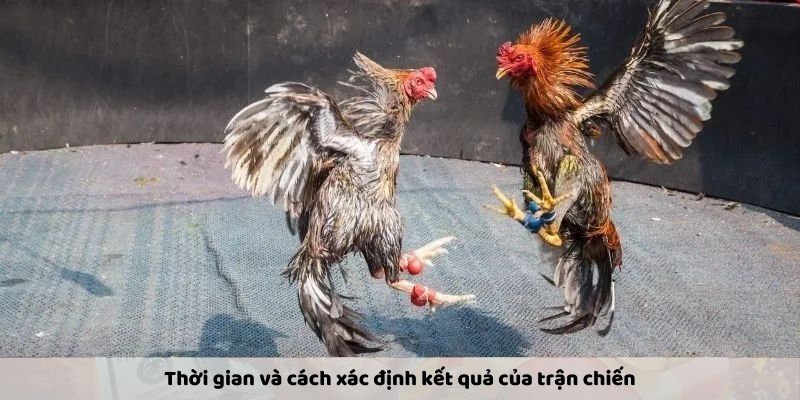 Thời gian và cách xác định kết quả của trận chiến