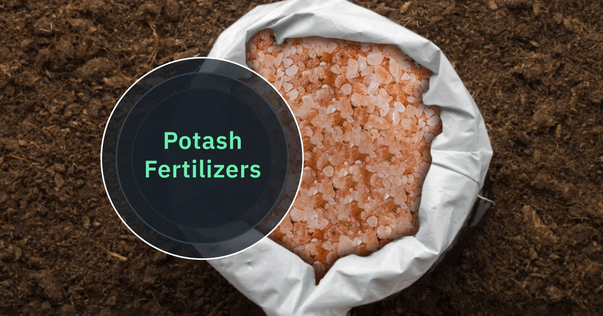 Potassium-Based Fertilizer