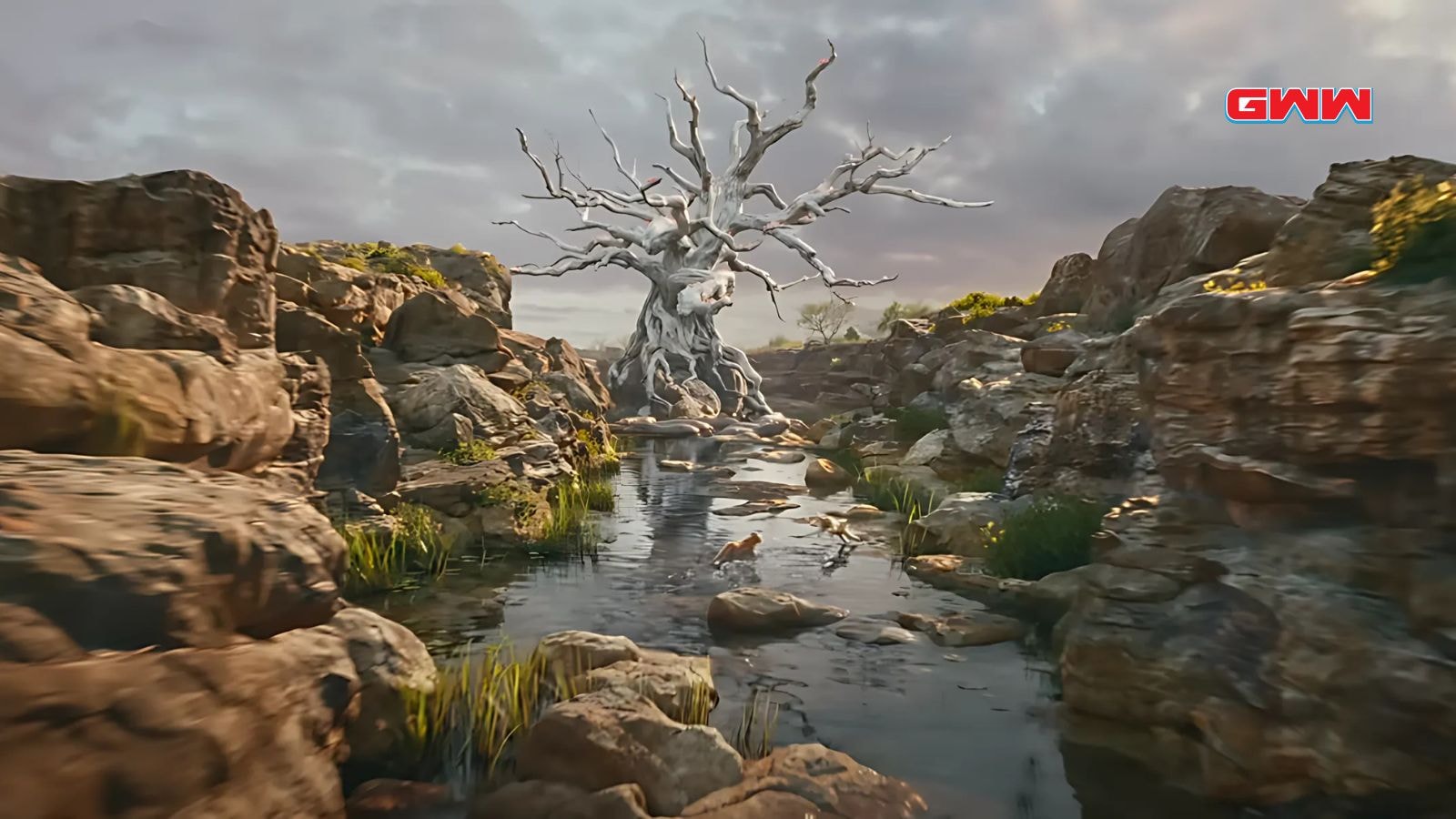 Scenic landscape from Mufasa the Lion King trailer with ancient tree