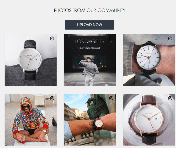 instagram feed on website