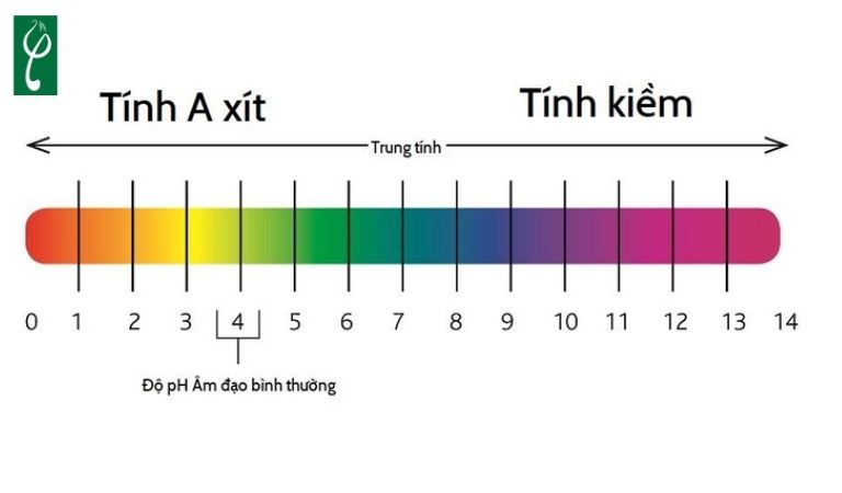 Gia công dung dịch vệ sinh phụ nữ trị thâm cần đảm bảo cân bằng pH