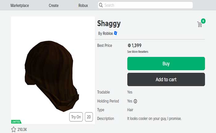 Rolox Shaggy Hair Guide