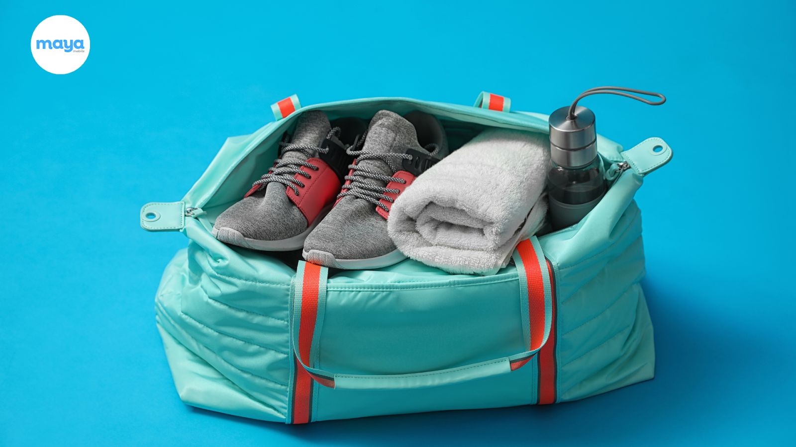 Travel Shoe Bags