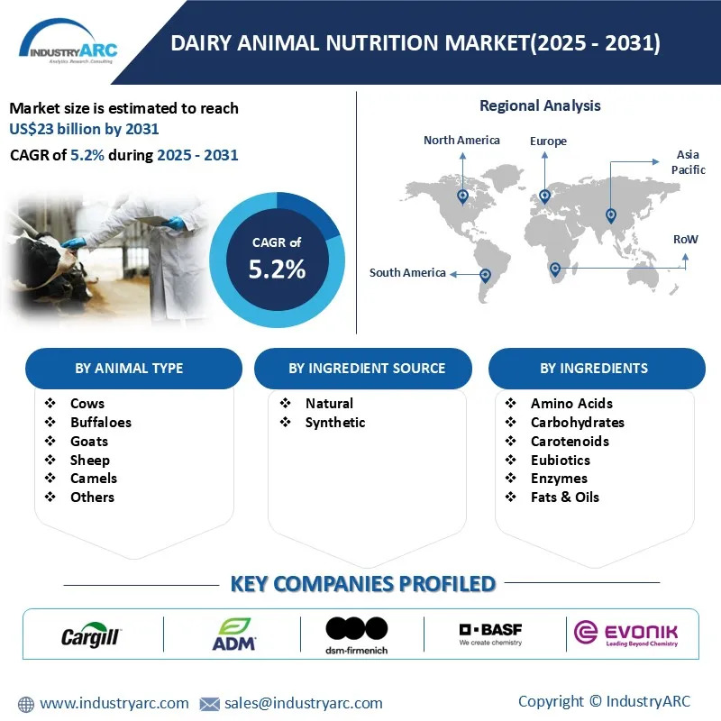 Dairy Animal Nutrition Market