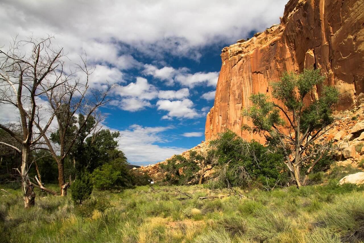 Capitol Reef National Park