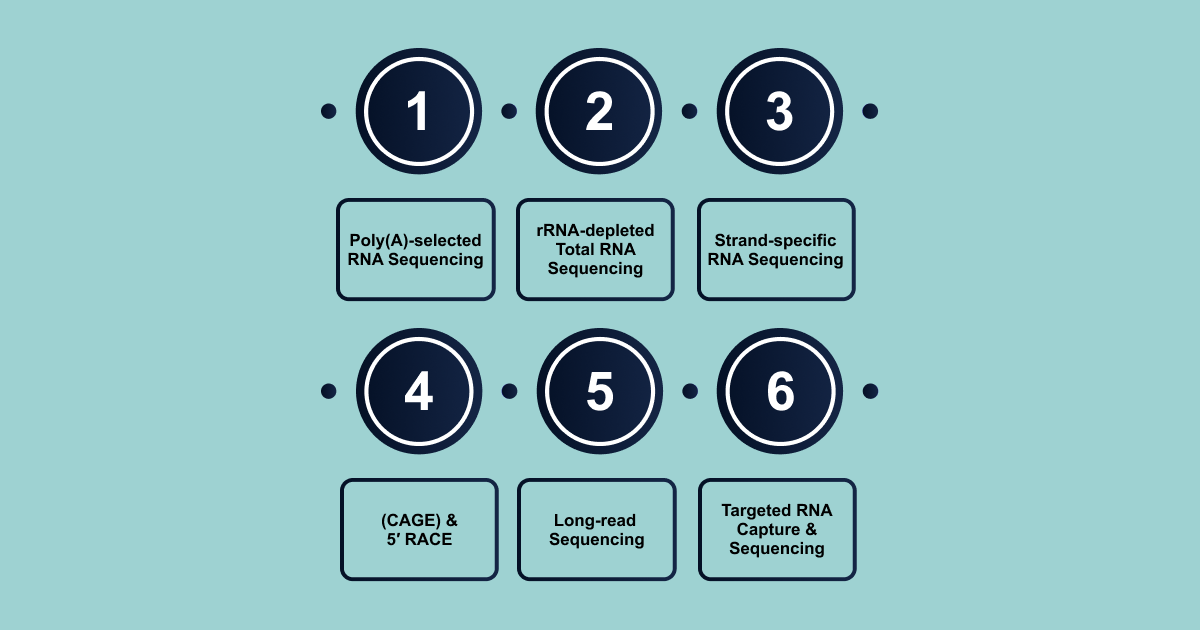Methods in Long Non-coding RNA Sequencing