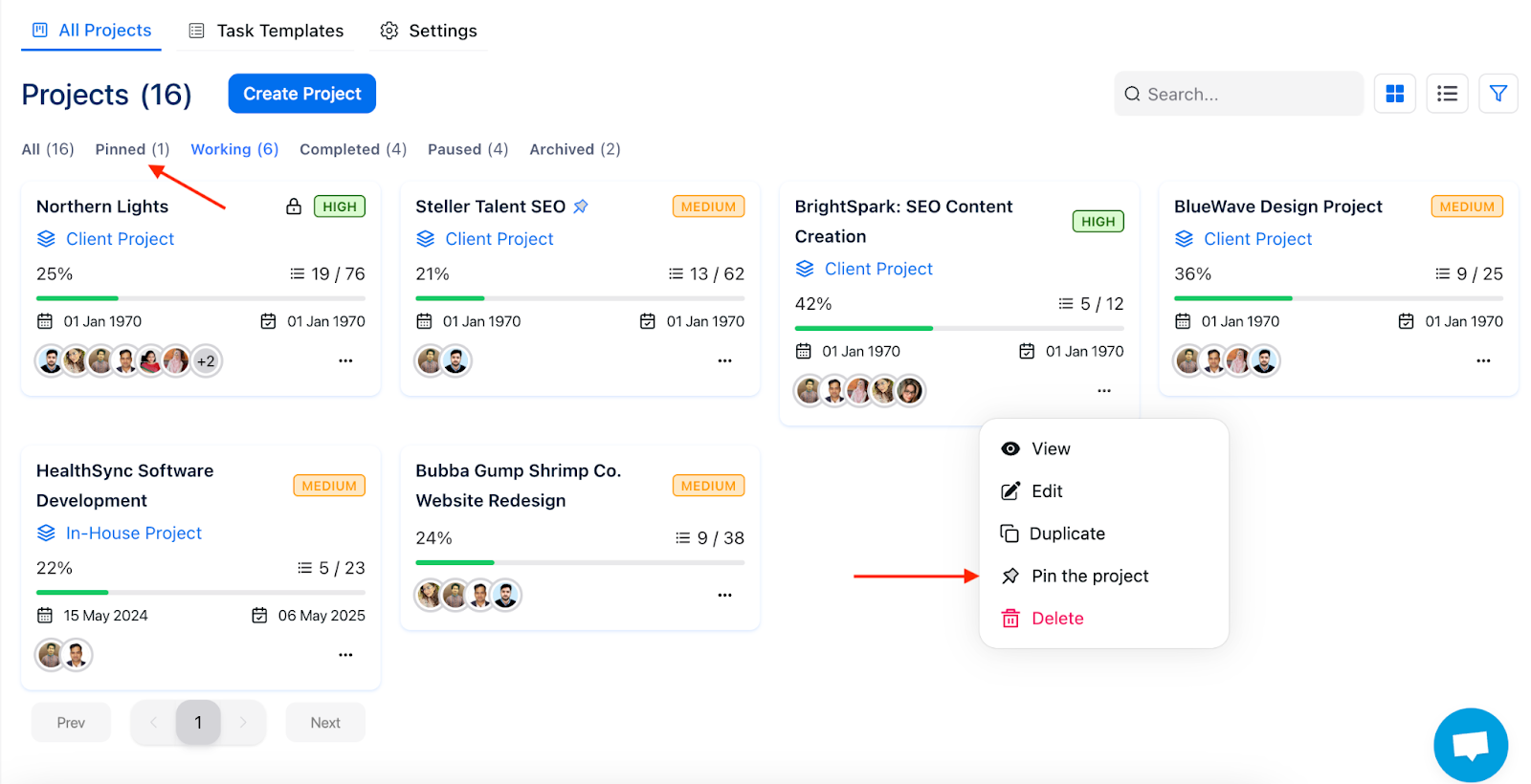 OneSuite's Pin Project Options