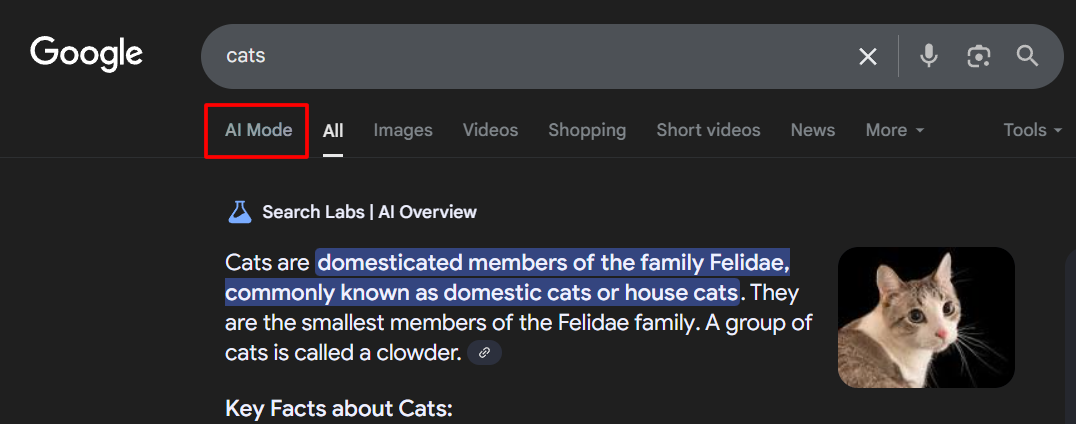 You can access the AI Mode from the menu at the top of the Google search page