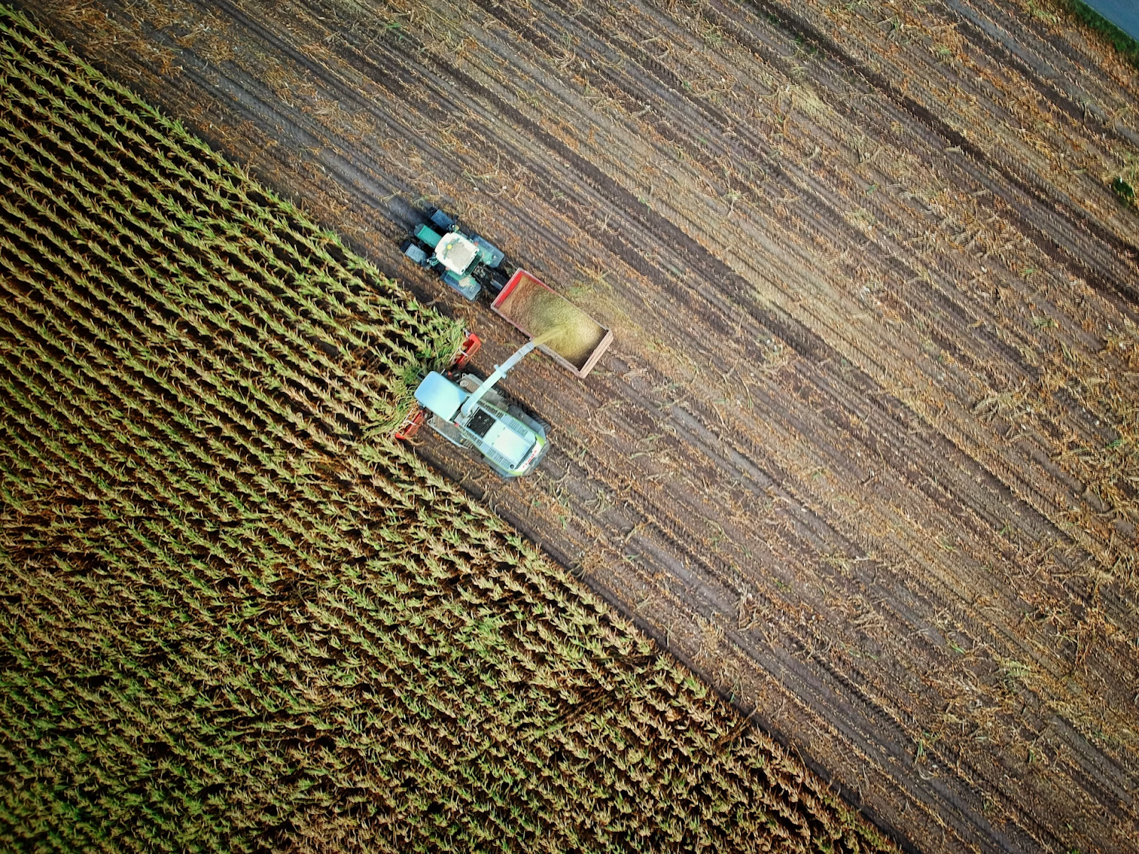 7. Creșterea durabilității producției agricole