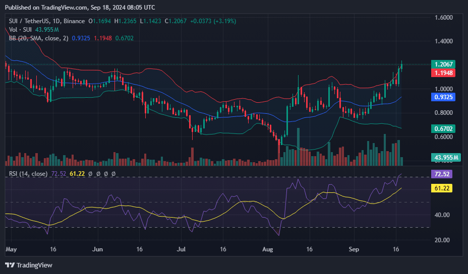 SUI raggiunge il picco di sei mesi dopo l'integrazione con USDC - 2