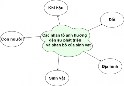 BÀI 15: SINH QUYỂN, CÁC NHÂN TỐ ẢNH HƯỞNG ĐẾN SỰ PHÁT TRIỂN VÀ PHÂN BỐ SINH VẬTI. SINH QUYỂN1. Khái niệm và giới hạn của sinh quyển