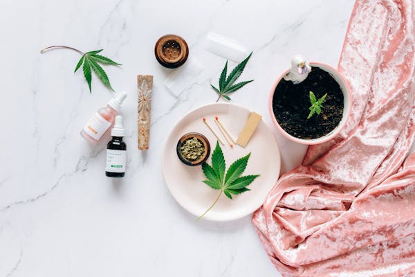 Creating Your Own Herbal Medicine Remedies