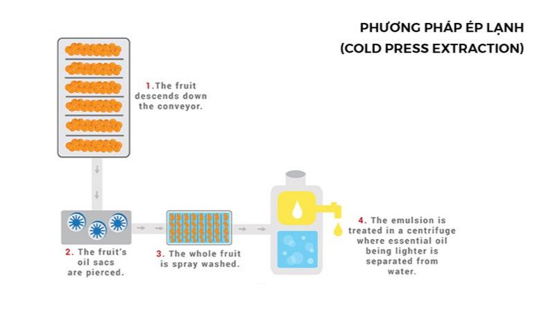 Ép lạnh để chiết xuất tinh dầu từ vỏ trái cây một cách tinh túy