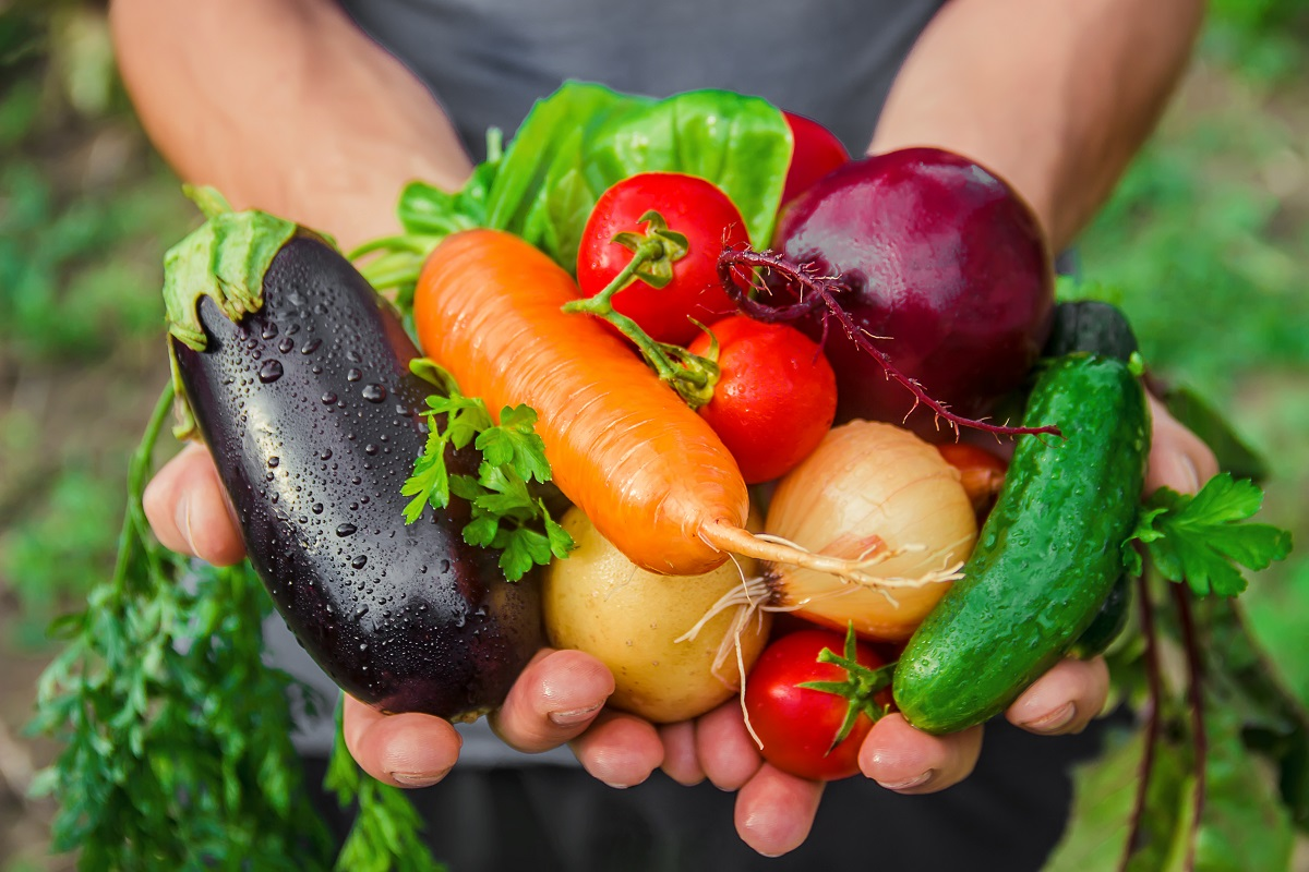 Vegetable Gardening