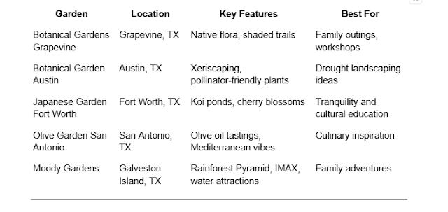 The Beauty of Texas