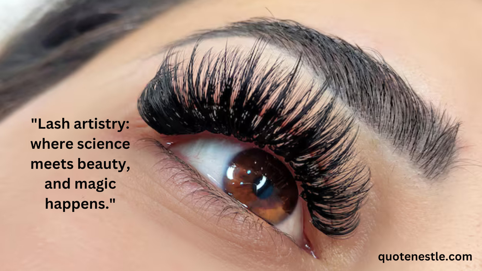 Lash Transformation Quotes