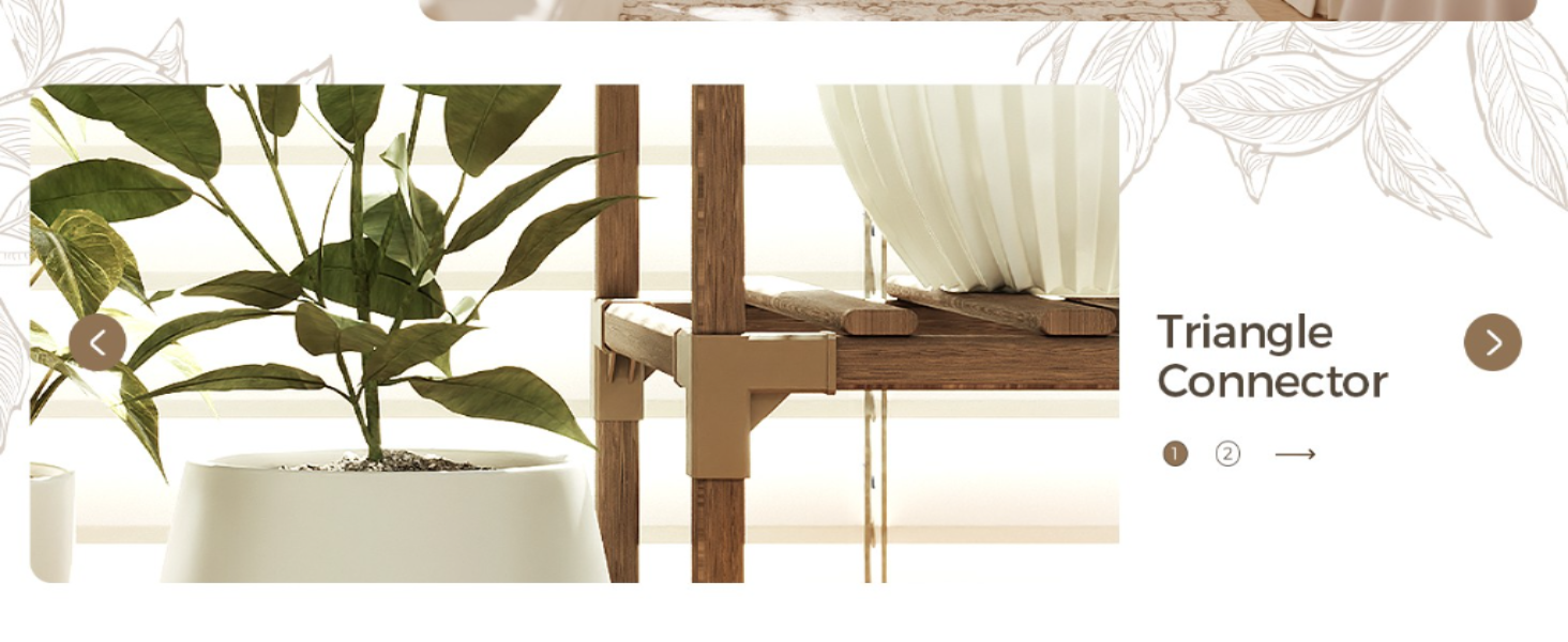 Indoor Plants for Arizona's Desert Climate