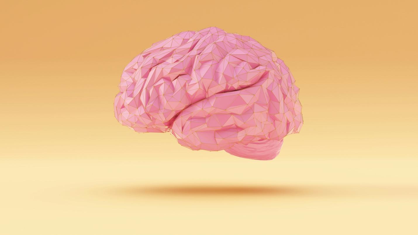 A pink brain with low polygons

Description automatically generated