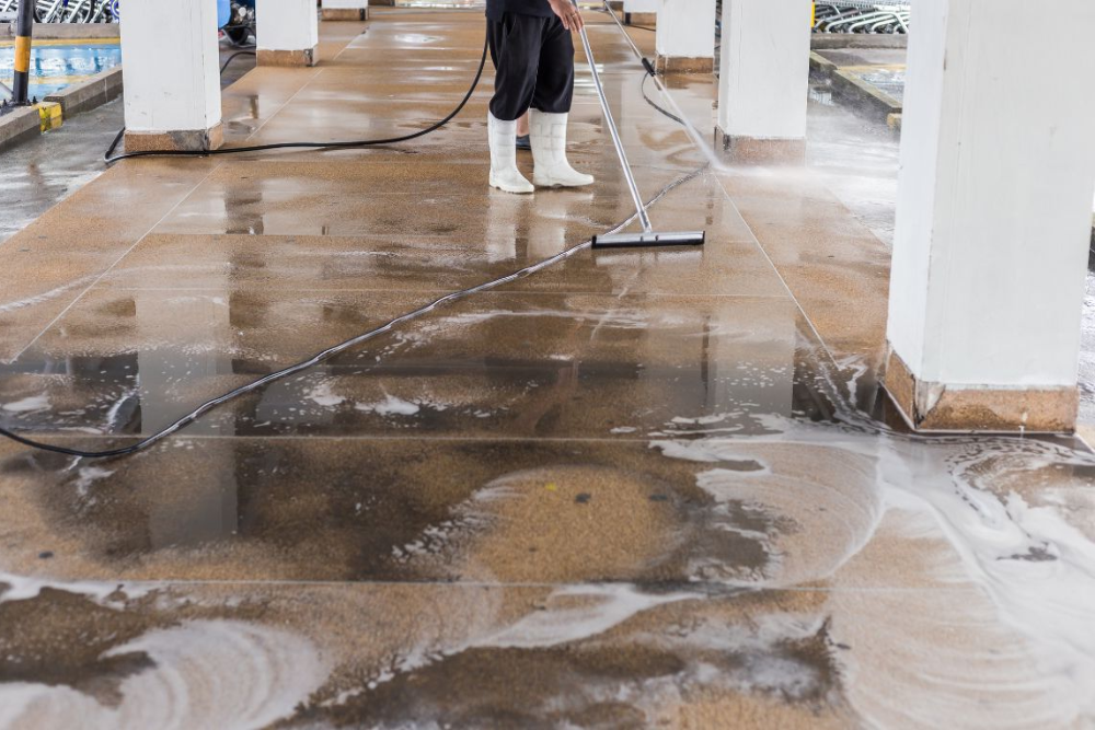 Prevent Future Damage with Water Damage Restoration Seattle