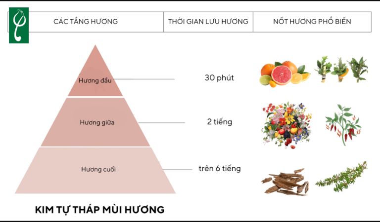 Sản xuất nước hoa hương tươi mát cần cân bằng giữa các nốt hương