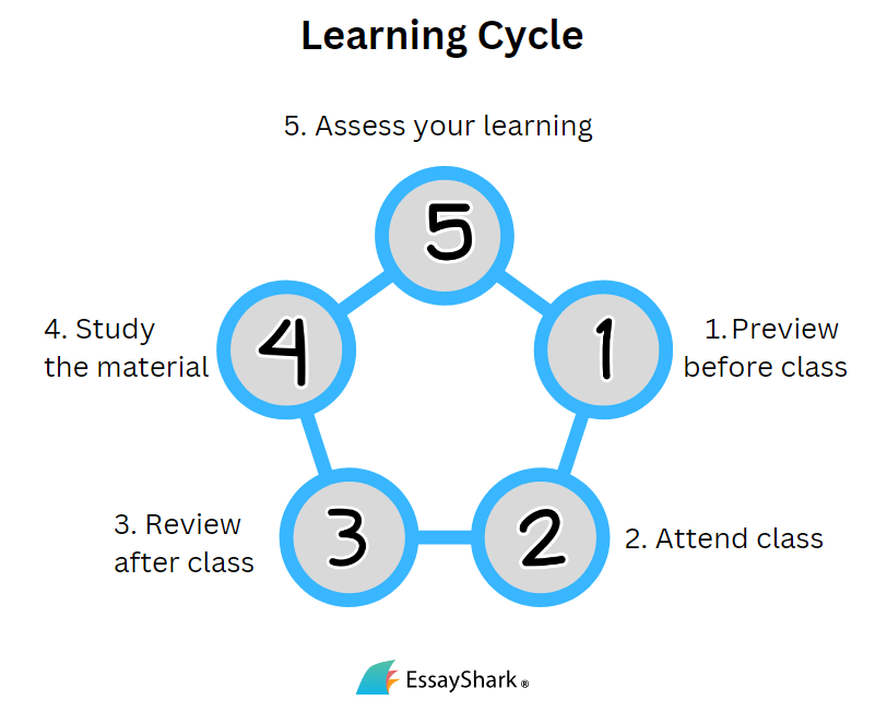 A Learning Cycle to Consider