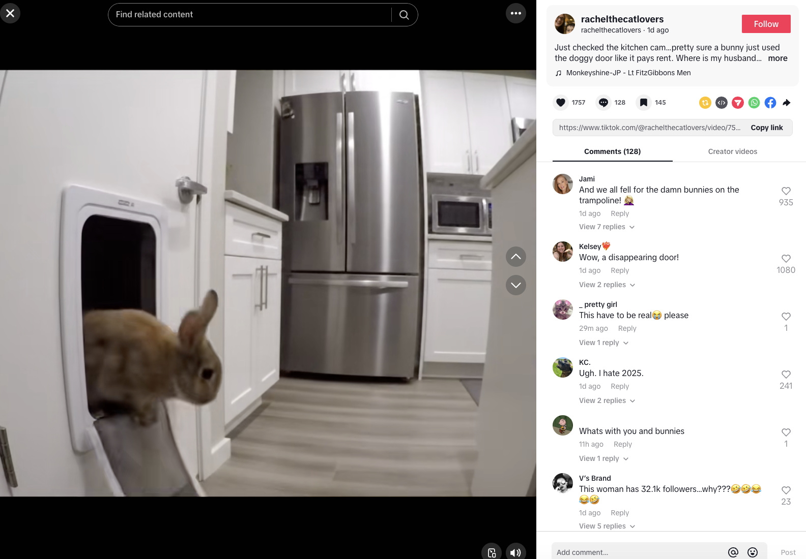 AI Bunnies on Trampoline Causing Crisis of Confidence on TikTok