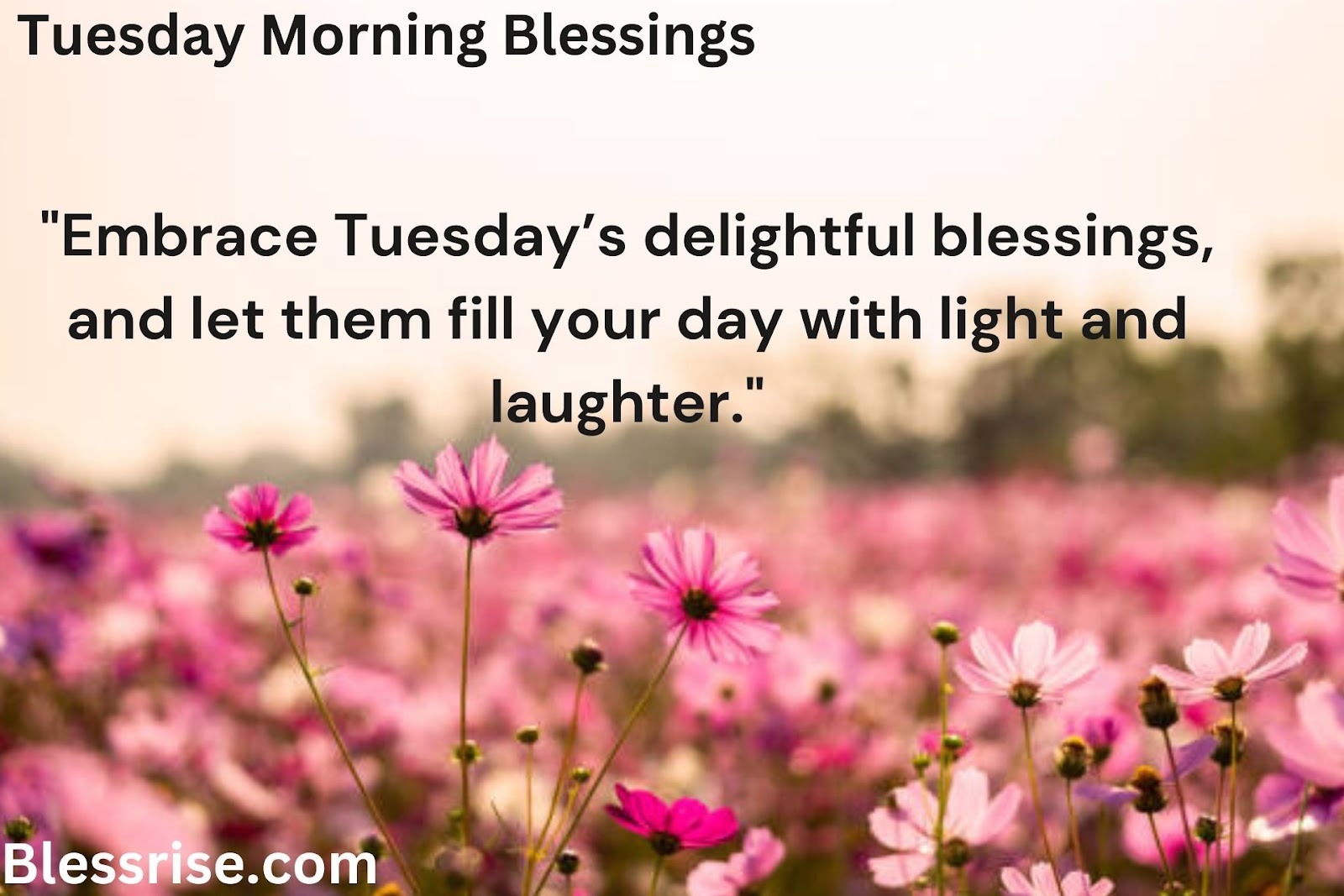  Blessings Embrace on Tuesday