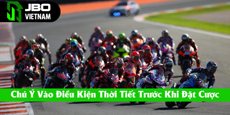 Trước khi đặt cược nên chú ý vào thời tiết